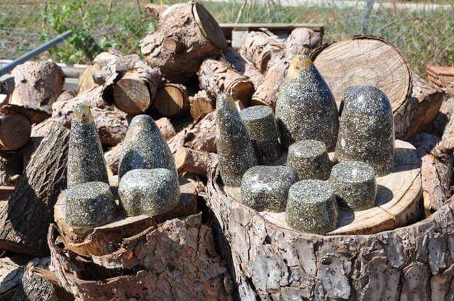 orgonitas tacticas componentes