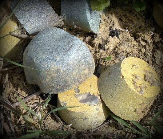 orgonitas Tb para el huerto