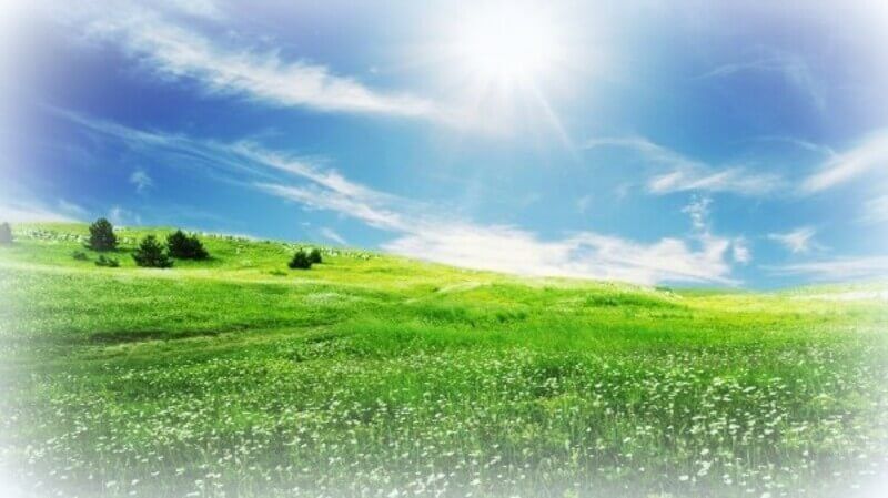 pradera verde orgonangel