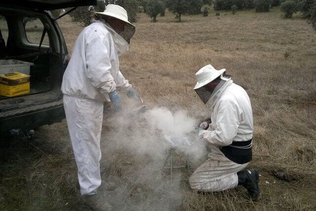 Preparando el humo que tranquilizará a las abejas
