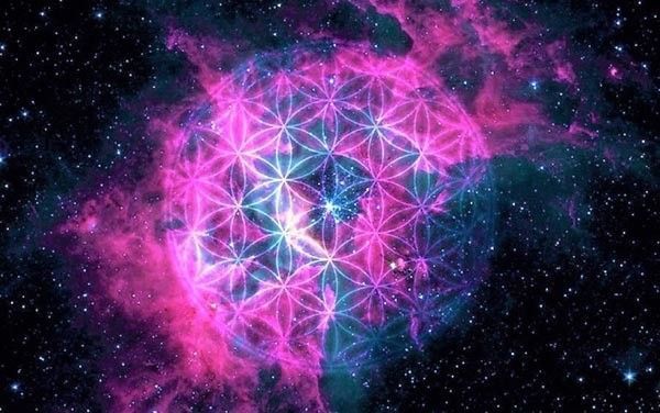 flor de la vida orgonangel